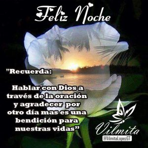 Imagenes De Las Buenas Noches Amor