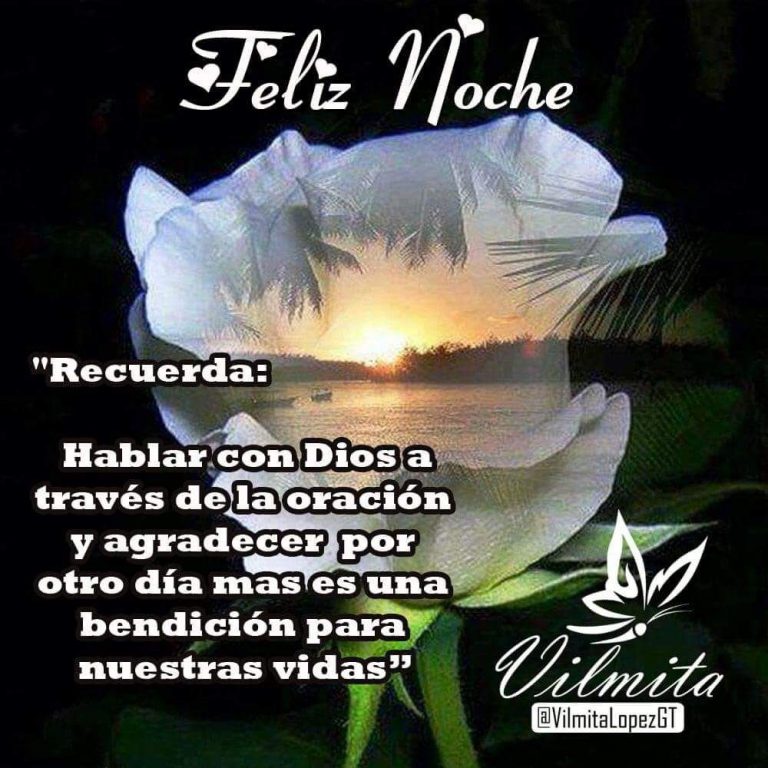 Imagenes De Las Buenas Noches Amor