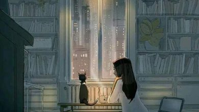 Photo of Imagenes De Las Buenas Noches Amor Para Whatsapp