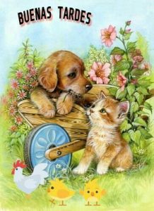 Imagenes De Linda Tarde Amor Para Facebook Y Whatsapp