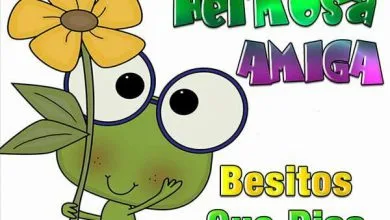 Photo of Imagenes De Linda Tarde Amor Para Whatsapp Celular