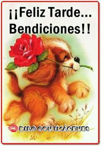 Imagenes De Linda Tarde Para Whatsapp Celular