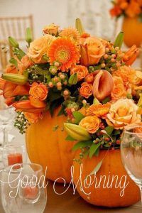 Imagenes De Los Buenos Dias Amor Para Descargar