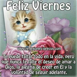 Imagenes De Los Buenos Dias Amor Para Mi Amor