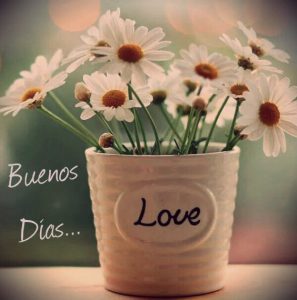 Imagenes De Los Buenos Dias Para Descargar