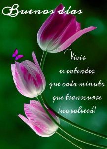 Imagenes De Muy Buenos Dias Amor Para Celular