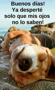 Imagenes De Muy Buenos Dias Amor Para Descargar