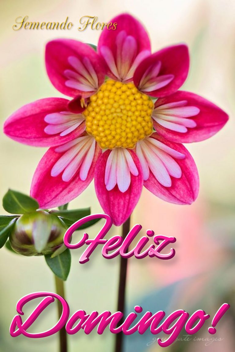 Imagenes De Saludos Feliz Domingo Para Celular