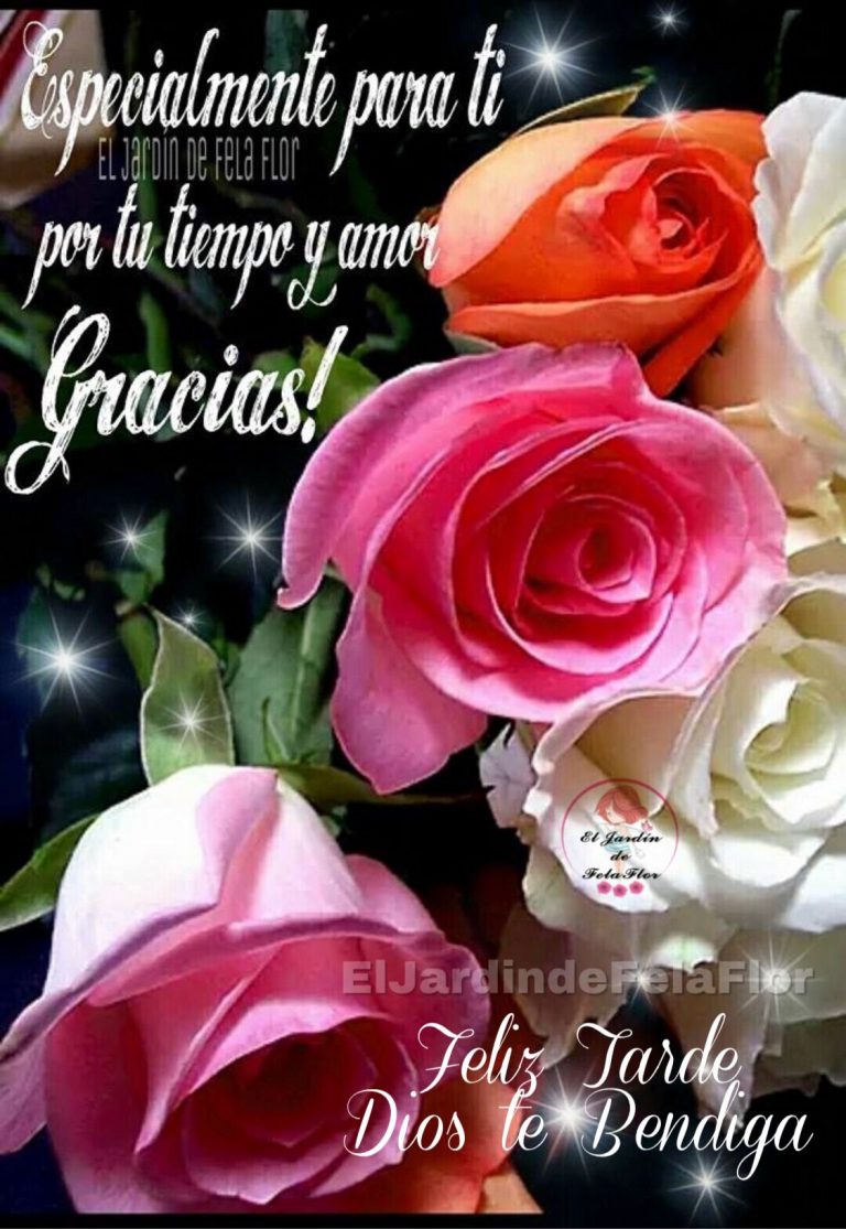 Imagenes De Tardes Hermosas Para Facebook Y Whatsapp