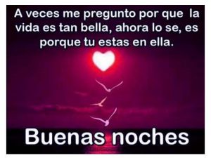 Imagenes Debuenas Noches Para Whatsapp