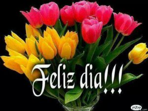 Imagenes Debuenos Dias Amor Para Descargar