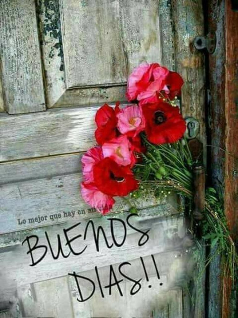 Imagenes Debuenos Dias Amor Para Mi Amor