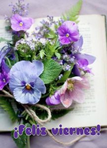 Imagenes Debuenos Dias Para Descargar