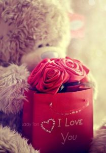 Imagenes Del Amor Con Frases Bonitas