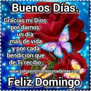 Imagenes Del Dia Domingo Con Frases Para Celular