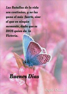 Imagenes Deseando Buenos Dias