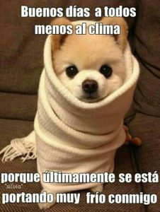 Imagenes Deseando Buenos Dias Para Mi Amor