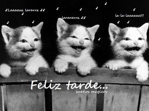 Imagenes Deseando Linda Tarde Para Whatsapp Celular