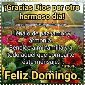 Imagenes Deseando Un Feliz Domingo Para Celular