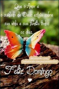 Imágenes día domingo con frases para celular