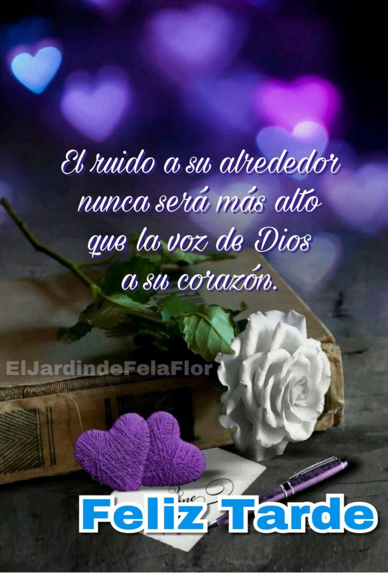 Imagenes Divertidas De Buenas Tardes Para Whatsapp Celular