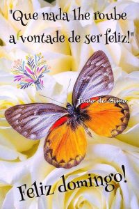 Imagenes Divertidas De Feliz Domingo Para Celular