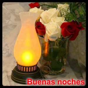 Imagenes Especiales De Buenas Noches Para Whatsapp