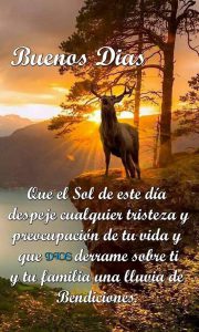 Imagenes Especiales De Buenos Dias Para Descargar