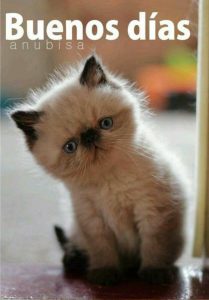 Imagenes Fe Buenos Dias Para Una Amiga