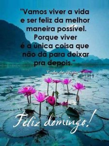 Imagenes Feliz Domingo Amiga Para Celular