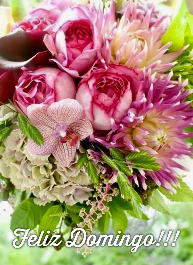Imagenes Feliz Domingo Amor Para Whatsapp