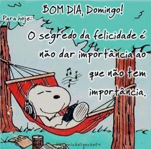 Imagenes Feliz Domingo Con Flores Para Celular