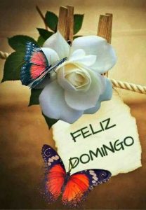 Imagenes Feliz Domingo Mi Amor Para Whatsapp