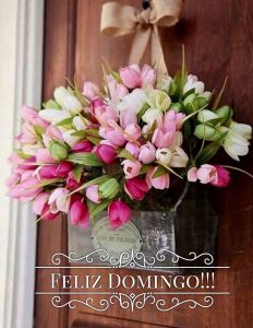 Imagenes Feliz Domingo Para Compartir Para Celular