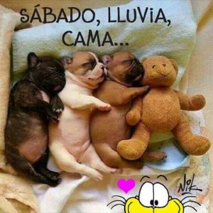 Imagenes Feliz Sabado Para Whatsapp
