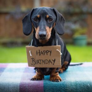 Imágenes frases de feliz cumpleaños