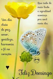 Imagenes Graciosas De Feliz Domingo Para Celular