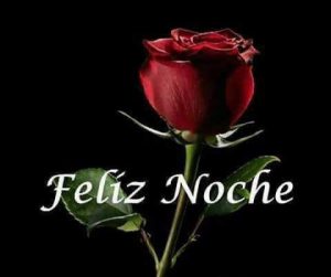 Imagenes Gratis De Buenas Noches Para Descargar Para Whatsapp