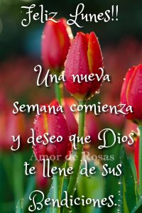 Imagenes Hermosas Buenos Dias Para Descargar