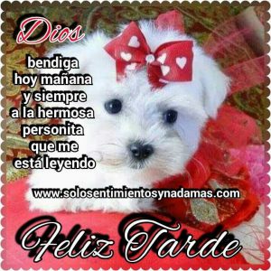 Imágenes hermosas de buenas tardes para Facebook y WhatsApp