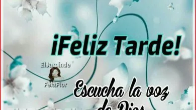 Photo of Imagenes Hermosas De Buenas Tardes Para Whatsapp Celular