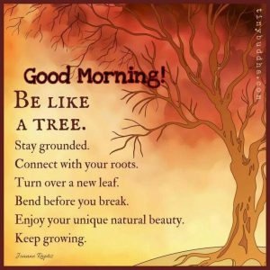 Imagenes Hermosas De Buenos Dias Para Mi Amor Para Facebook