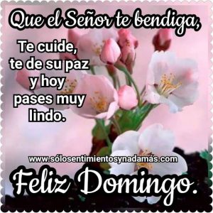 Imagenes Hermosas De Domingo Para Celular