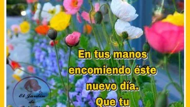 Photo of Imagenes Hermosas Para Dar Los Buenos Dias Para Facebook