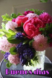 Imagenes Hola Buenos Dias Para Descargar