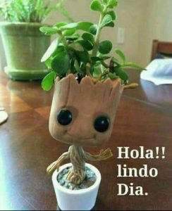 Imagenes Hola Buenos Dias Para Facebook