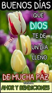 Imagenes Hola Buenos Dias Para Whatsapp