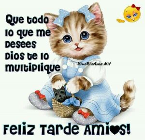 Imagenes Lindas De Buenas Tardes Para Facebook Y Whatsapp