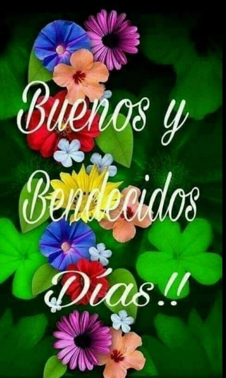 Imagenes Lindas De Buenos Dias Amor Para Celular