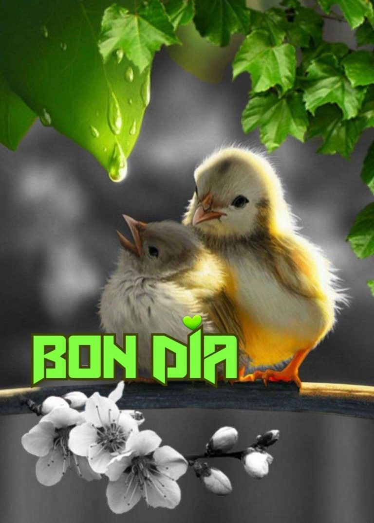 Imagenes Lindas De Buenos Dias Para Mi Amor Para Descargar